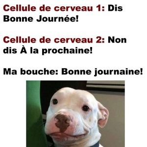 Meet your Posher, Daphné